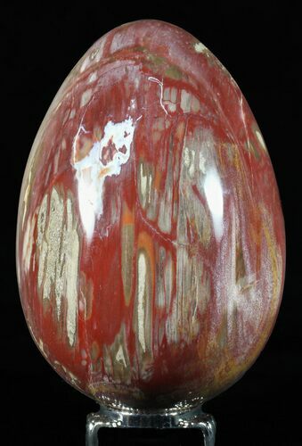 Colorful, Polished Petrified Wood Egg - Triassic #58518